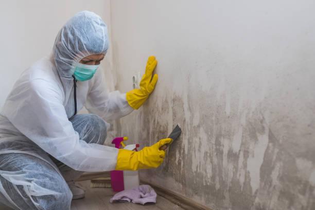 Best HVAC Mold Remediation in North Wildwood, NJ