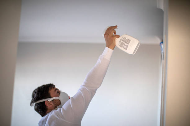 Best Residential Mold Remediation in North Wildwood, NJ