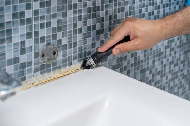 Best Localized Mold Remediation (e.g., coastal areas, humid climates) in North Wildwood, NJ