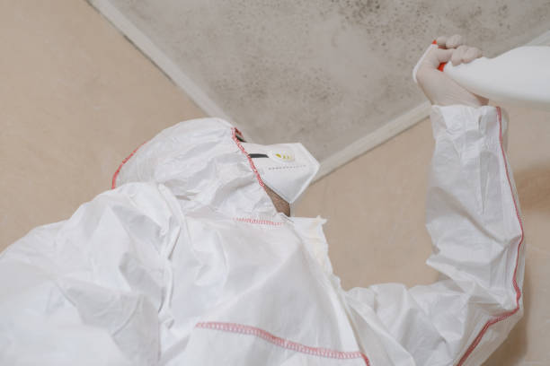 North Wildwood, NJ Mold Remediation Company