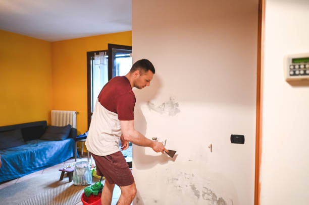Best Mold Remediation for Schools in North Wildwood, NJ